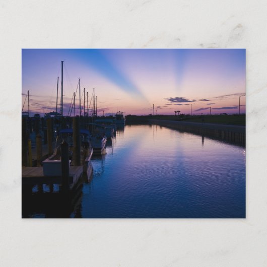 Carte Postale Rayons de soleil de Floride (Devant)