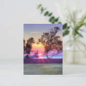 Carte Postale Rayons du matin (Debout devant)