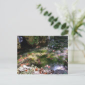 Carte Postale rayons et feuilles sur l'eau (Debout devant)