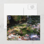 Carte Postale rayons et feuilles sur l'eau (Devant / Derrière)