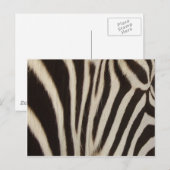 Carte Postale Rayures de Z (Devant / Derrière)