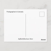 Carte postale Real Roadrunner (Dos)