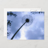 Carte Postale Réaliser les désirs (Devant / Derrière)