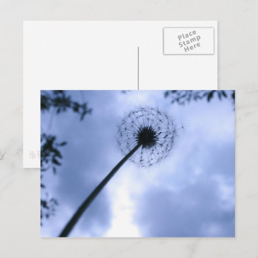 Carte Postale Réaliser les désirs (Devant / Derrière)