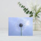 Carte Postale Réaliser les voeux (Debout devant)