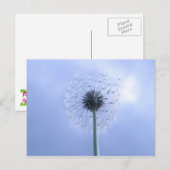 Carte Postale Réaliser les voeux (Devant / Derrière)