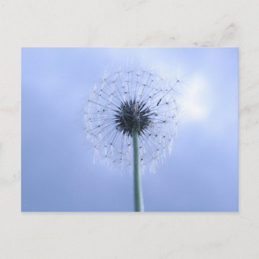 Carte Postale Réaliser les voeux (Devant)