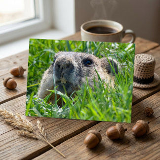 Carte Postale Realistic Groundhog Head Peeking Through Grass Art