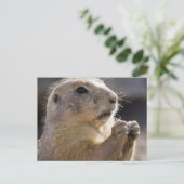 Carte Postale Realistic Natural Profile Groundhog Paws Up Photo (Debout devant)