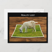 Carte Postale Réalité Perdu Graissage de chèvre sur papier Grass (Devant / Derrière)