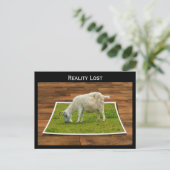 Carte Postale Réalité Perdu Graissage de chèvre sur papier Grass (Debout devant)