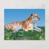 Carte postale Recapitulatif (Devant)