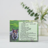 Carte postale Recette au lait-beurre (Debout devant)