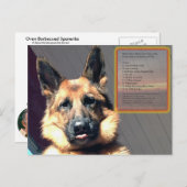 Carte postale Recette Barbecue Papa's Oven Barbecu (Devant / Derrière)