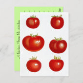 Carte postale Recette Conception Pour Partager Fav (Devant / Derrière)