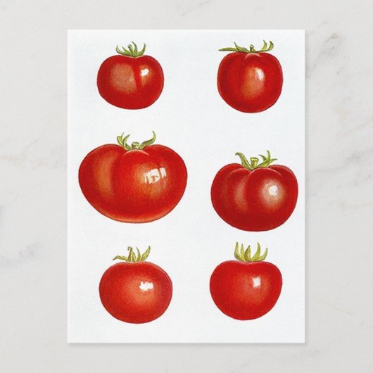 Carte postale Recette Conception Pour Partager Fav (Devant)