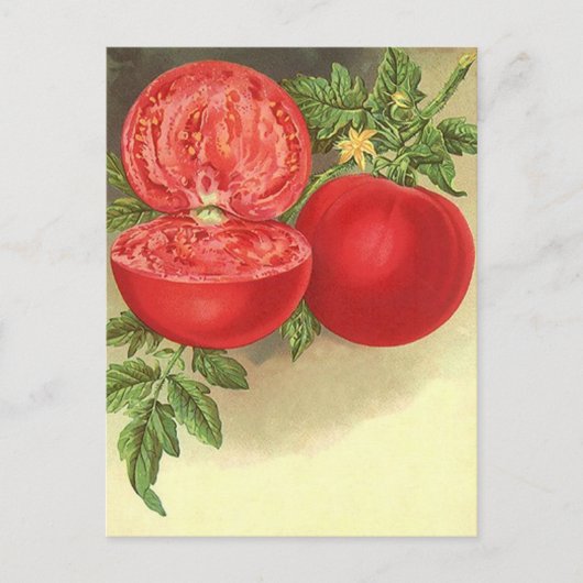 Carte postale Recette Conception Pour Partager Fav (Devant)