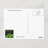 Carte Postale Recette de gâteau Rhubarb (Dos)