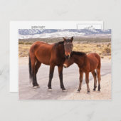 Carte Postale Recherche de confort (Devant / Derrière)