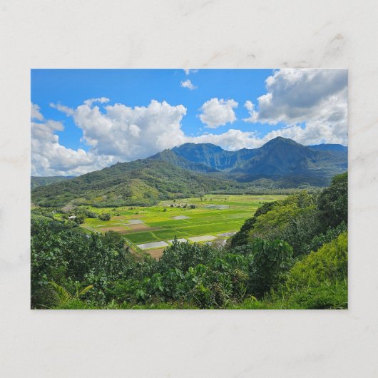 Carte Postale Recherche de la vallée de Hanalei (Devant)