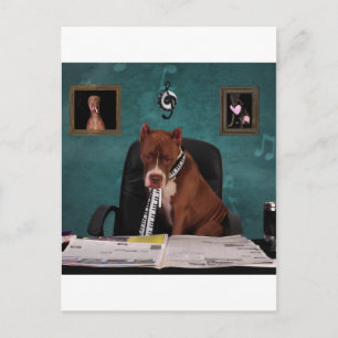 Carte Postale Recherche de talent