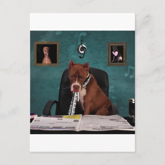 Carte Postale Recherche de talent (Devant)