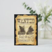 Carte Postale Recherché mort et vivant. Le chat de Schroedinger. (Debout devant)