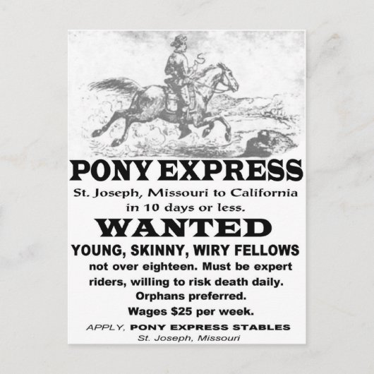 Carte Postale Recherché Pony Express Rider (Devant)