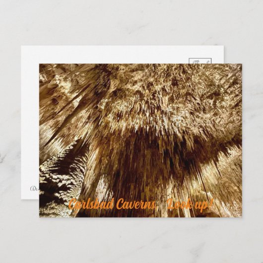 Carte Postale rechercher (Devant / Derrière)