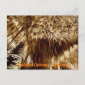 Carte Postale rechercher (Devant)