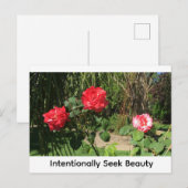 Carte Postale Rechercher intentionnellement la Beauté (Devant / Derrière)