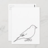 Carte Postale Rechercher l'esquisse (Devant / Derrière)