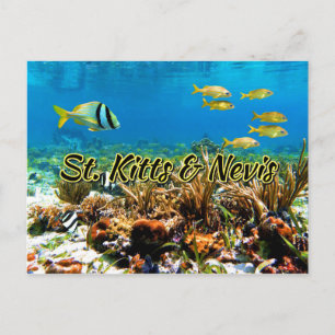 Carte Postale récif corallien de St Kitts & Nevis