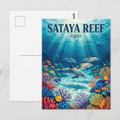 Carte Postale Récif de Sataya Egypte (Devant / Derrière)