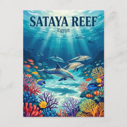 Carte Postale Récif de Sataya Egypte (Devant)