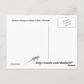 Carte Postale récifs assis à la clôture (Dos)