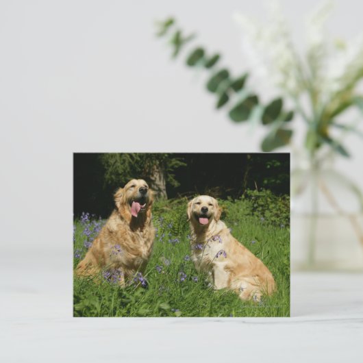 Carte Postale Récipiendaires en or en herbe (Debout devant)