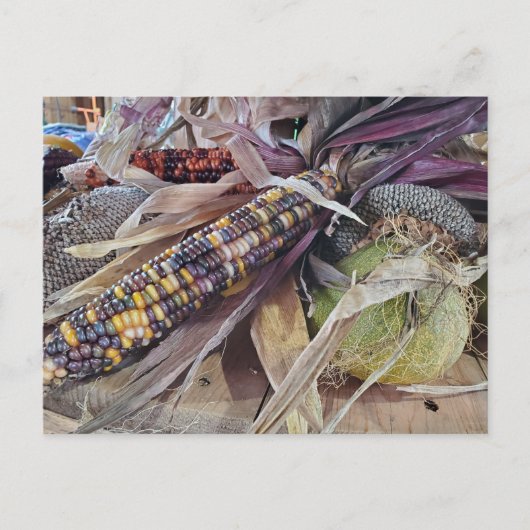 Carte Postale Récolte (Devant)