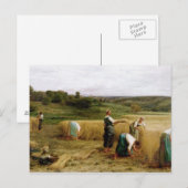 Carte Postale Récolte, 1874 (Devant / Derrière)