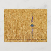 Carte Postale Récolte céleste (Dos)