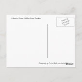 Carte Postale Récolte citrouille (Dos)