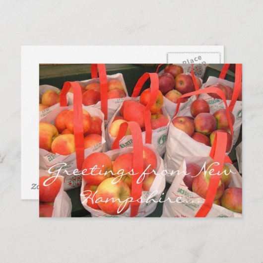 Carte Postale Récolte d'automne (Devant / Derrière)