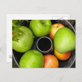 Carte Postale Récolte d'automne (Devant / Derrière)