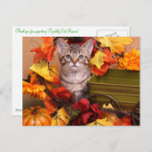 Carte Postale Récolte d'automne (Devant / Derrière)