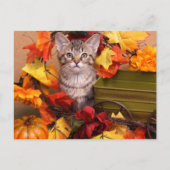 Carte Postale Récolte d'automne (Devant)