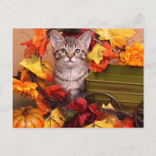 Carte Postale Récolte d'automne (Devant)