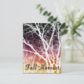 Carte Postale récolte d'automne : arbre fantôme (Debout devant)