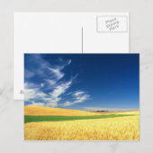 Carte Postale Récolte de blé sur le Palouse dans l'est (Devant / Derrière)