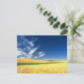 Carte Postale Récolte de blé sur le Palouse dans l'est (Debout devant)