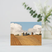 Carte Postale Récolte de céréales (Debout devant)